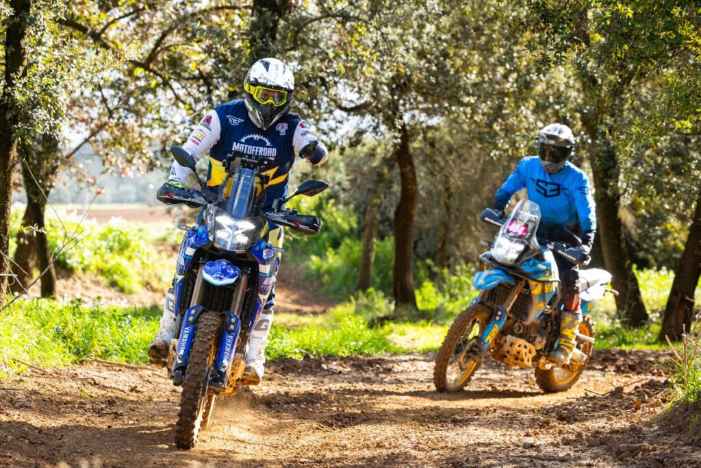 Dos pilotos con motos Yamaha Ténéré 700 en un camino del bosque