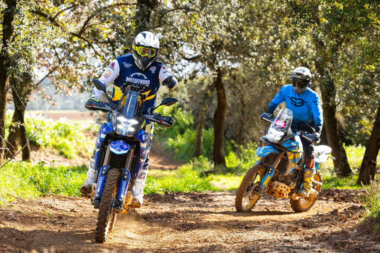 Trail Experience